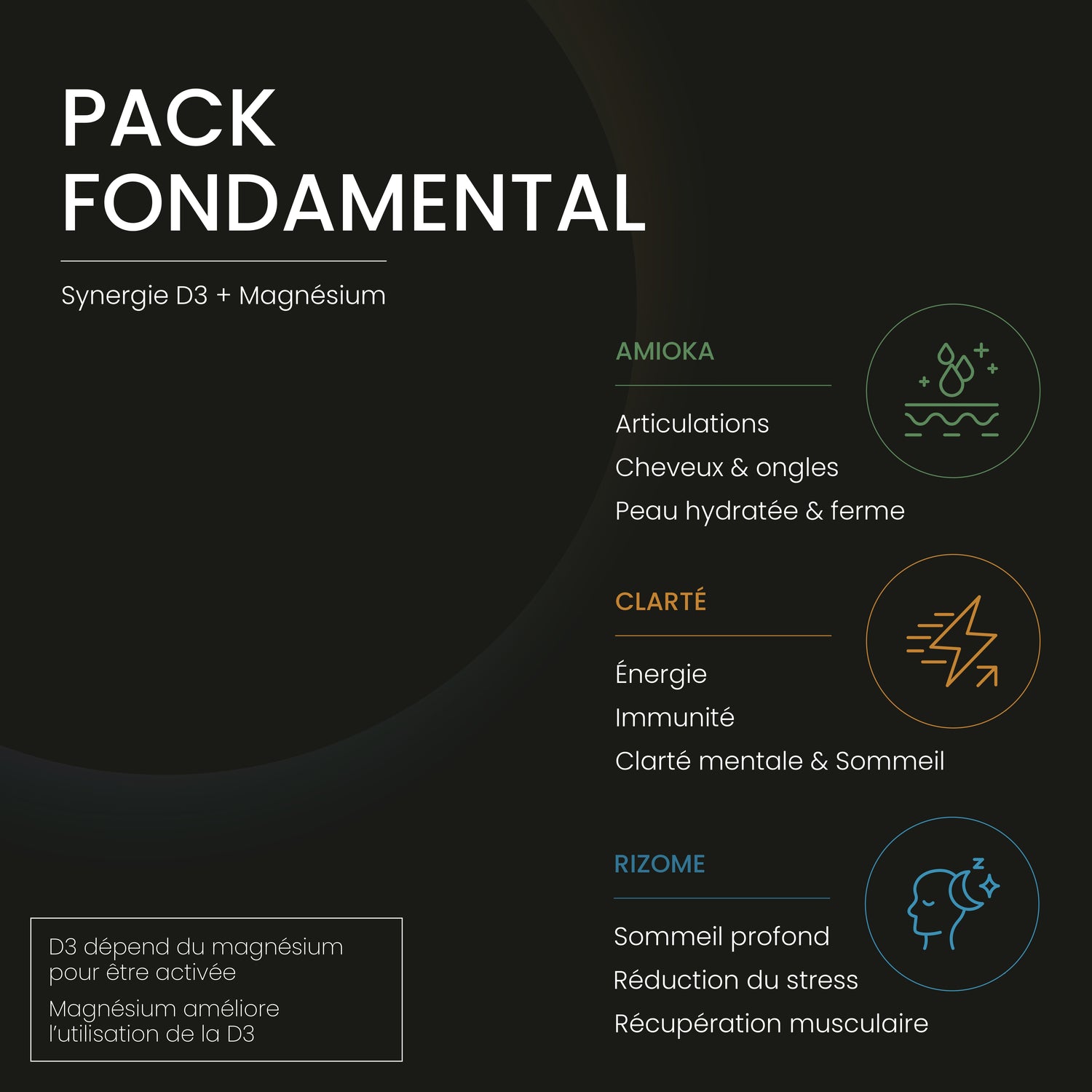 Pack Fondamental